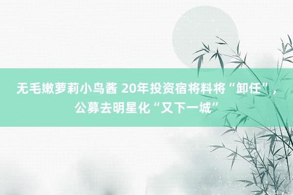 无毛嫩萝莉小鸟酱 20年投资宿将料将“卸任”，公募去明星化“又下一城”