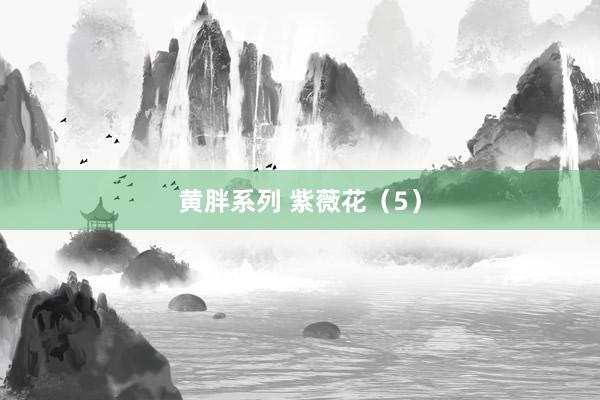 黄胖系列 紫薇花（5）