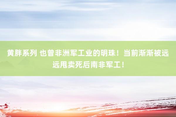 黄胖系列 也曾非洲军工业的明珠！当前渐渐被远远甩卖死后南非军工！