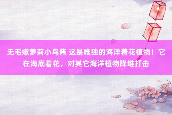 无毛嫩萝莉小鸟酱 这是唯独的海洋着花植物！它在海底着花，对其它海洋植物降维打击